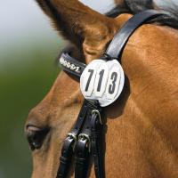 BRIDLE HOLDERS THREE DIGITS PLATE FOR STARTING